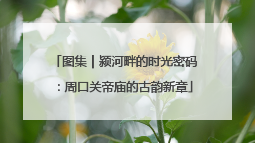 图集｜颍河畔的时光密码：周口关帝庙的古韵新章