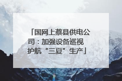 国网上蔡县供电公司：加强设备巡视 护航“三夏”生产