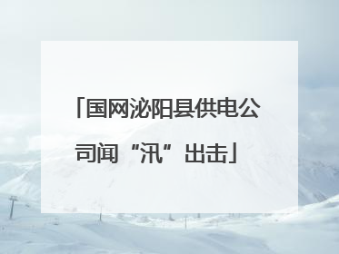 国网泌阳县供电公司闻“汛”出击
