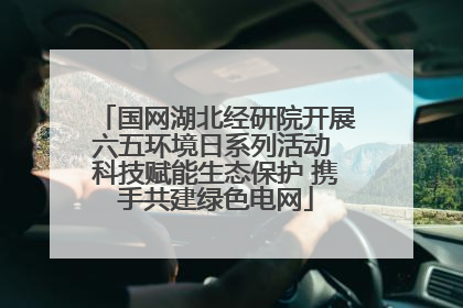国网湖北经研院开展六五环境日系列活动 科技赋能生态保护 携手共建绿色电网