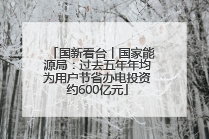 国新看台丨国家能源局：过去五年年均为用户节省办电投资约600亿元