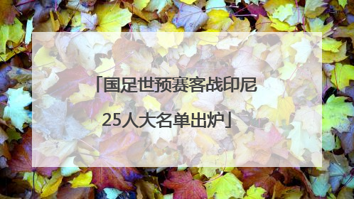 国足世预赛客战印尼25人大名单出炉