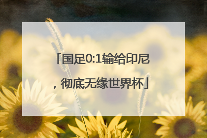 国足0:1输给印尼，彻底无缘世界杯