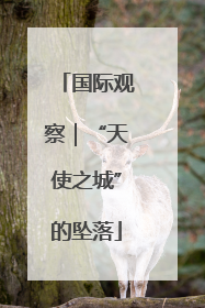 国际观察｜“天使之城”的坠落