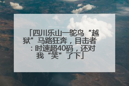 四川乐山一鸵鸟“越狱”马路狂奔，目击者：时速超40码，还对我“笑”了下