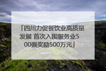 四川力促餐饮业高质量发展 首次入围服务业500强奖励500万元