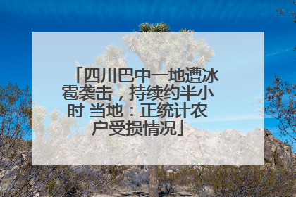 四川巴中一地遭冰雹袭击，持续约半小时 当地：正统计农户受损情况