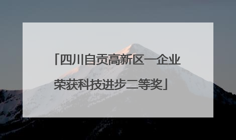 四川自贡高新区一企业荣获科技进步二等奖
