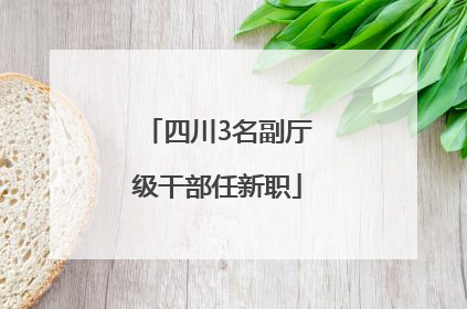 四川3名副厅级干部任新职