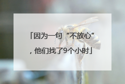 因为一句“不放心”，他们找了9个小时