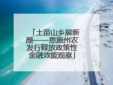 土苗山乡展新颜——恩施州农发行释放政策性金融效能观察