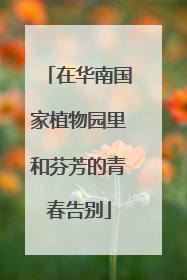 在华南国家植物园里和芬芳的青春告别