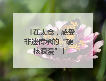 在太仓，感受非遗传承的“硬核浪漫”