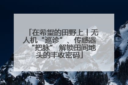 在希望的田野上丨无人机“巡诊”、传感器“把脉” 解锁田间地头的丰收密码