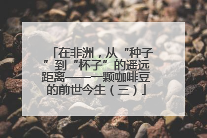 在非洲，从“种子”到“杯子”的遥远距离——一颗咖啡豆的前世今生（三）