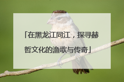 在黑龙江同江，探寻赫哲文化的渔歌与传奇