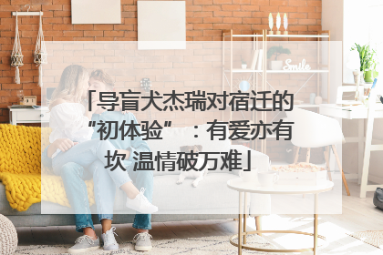 导盲犬杰瑞对宿迁的“初体验”：有爱亦有坎 温情破万难