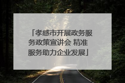 孝感市开展政务服务政策宣讲会 精准服务助力企业发展