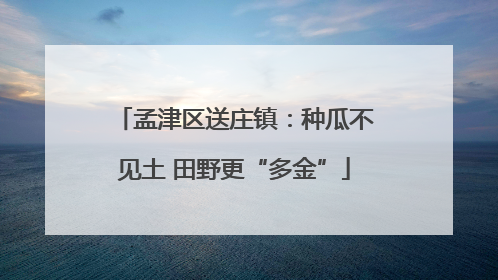 孟津区送庄镇：种瓜不见土 田野更“多金”