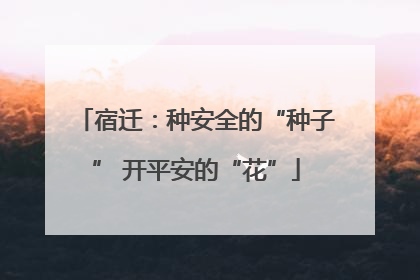 宿迁：种安全的“种子” 开平安的“花”