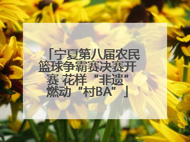 宁夏第八届农民篮球争霸赛决赛开赛 花样“非遗”燃动“村BA”