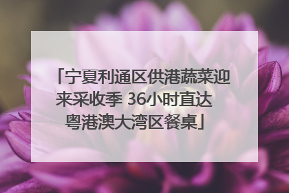 宁夏利通区供港蔬菜迎来采收季 36小时直达粤港澳大湾区餐桌