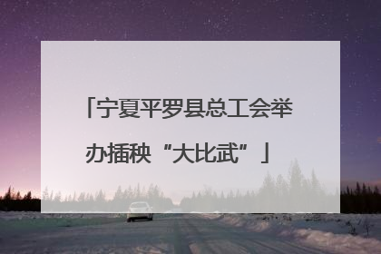 宁夏平罗县总工会举办插秧“大比武”