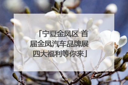 宁夏金凤区 首届金凤汽车品牌展四大福利等你来