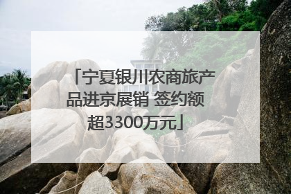 宁夏银川农商旅产品进京展销 签约额超3300万元