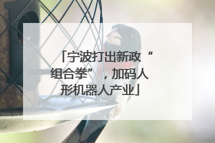 宁波打出新政“组合拳”，加码人形机器人产业