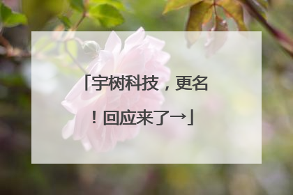 宇树科技，更名！回应来了→