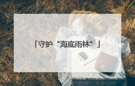 守护“海底雨林”