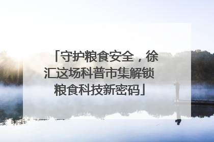 守护粮食安全，徐汇这场科普市集解锁粮食科技新密码