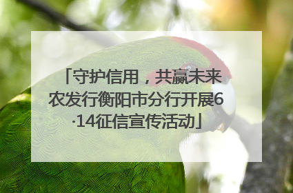 守护信用，共赢未来 农发行衡阳市分行开展6·14征信宣传活动