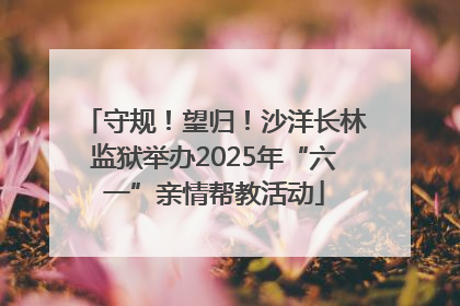 守规！望归！沙洋长林监狱举办2025年“六一”亲情帮教活动