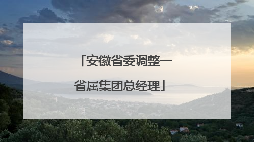 安徽省委调整一省属集团总经理
