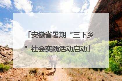 安徽省暑期“三下乡”社会实践活动启动