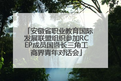 安徽省职业教育国际发展联盟组织参加RCEP成员国暨长三角工商界青年对话会