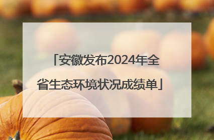 安徽发布2024年全省生态环境状况成绩单