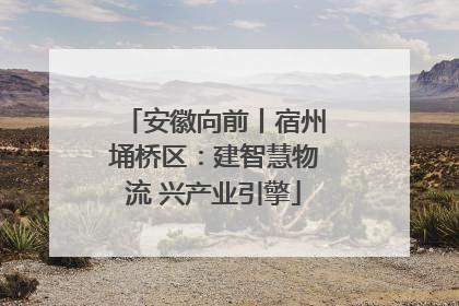 安徽向前丨宿州埇桥区：建智慧物流 兴产业引擎