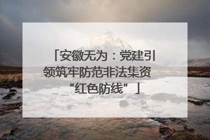 安徽无为：党建引领筑牢防范非法集资“红色防线”