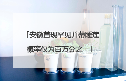 安徽首现罕见并蒂睡莲 概率仅为百万分之一
