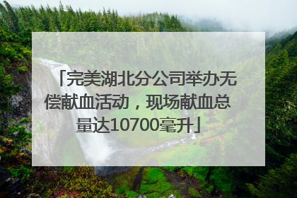 完美湖北分公司举办无偿献血活动，现场献血总量达10700毫升