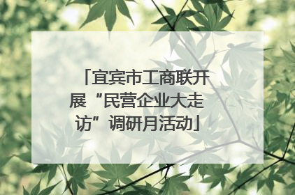 宜宾市工商联开展“民营企业大走访”调研月活动