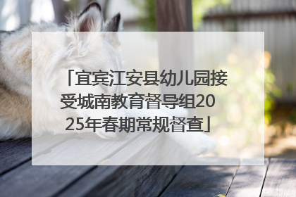 宜宾江安县幼儿园接受城南教育督导组2025年春期常规督查