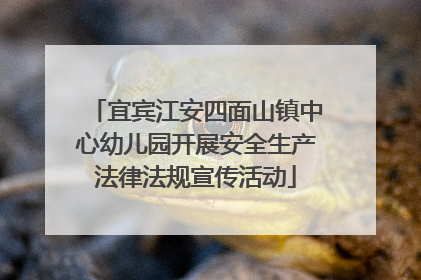 宜宾江安四面山镇中心幼儿园开展安全生产法律法规宣传活动