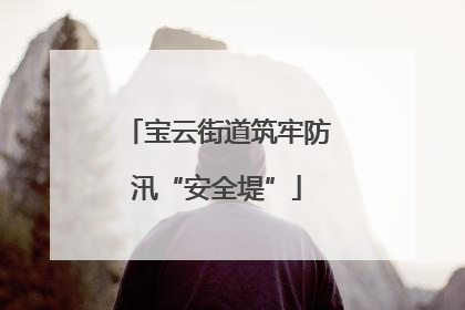 宝云街道筑牢防汛“安全堤”