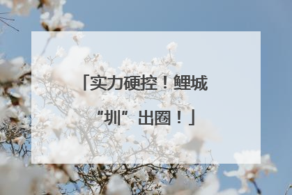 实力硬控！鲤城“圳”出圈！