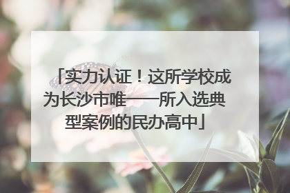 实力认证！这所学校成为长沙市唯一一所入选典型案例的民办高中