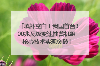 填补空白！我国首台300兆瓦级变速抽蓄机组核心技术实现突破